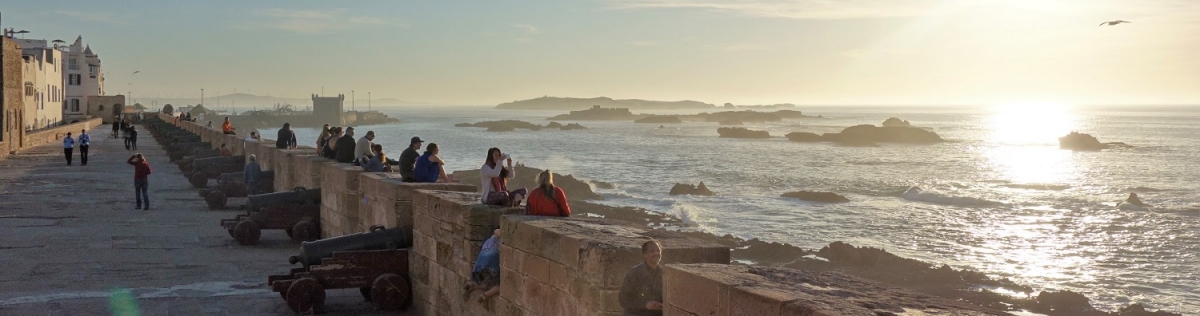 Essaouira Marokko Panorama (Alexander Mirschel)  Copyright 
Informations sur les licences disponibles sous 'Preuve des sources d'images'